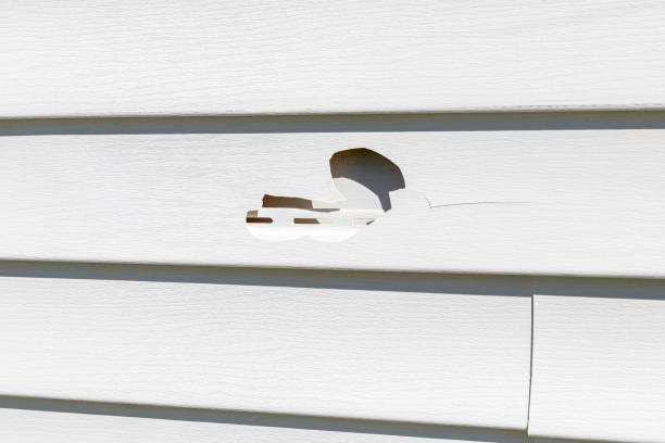 Best Residential Junk Removal  in Elroy, WI