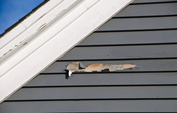 Best Residential Junk Removal  in Elroy, WI